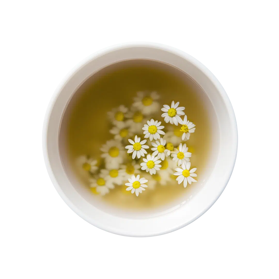 Comforting Chamomile