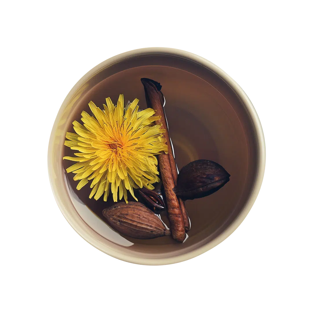 Roasted Dandelion Spice DeTox