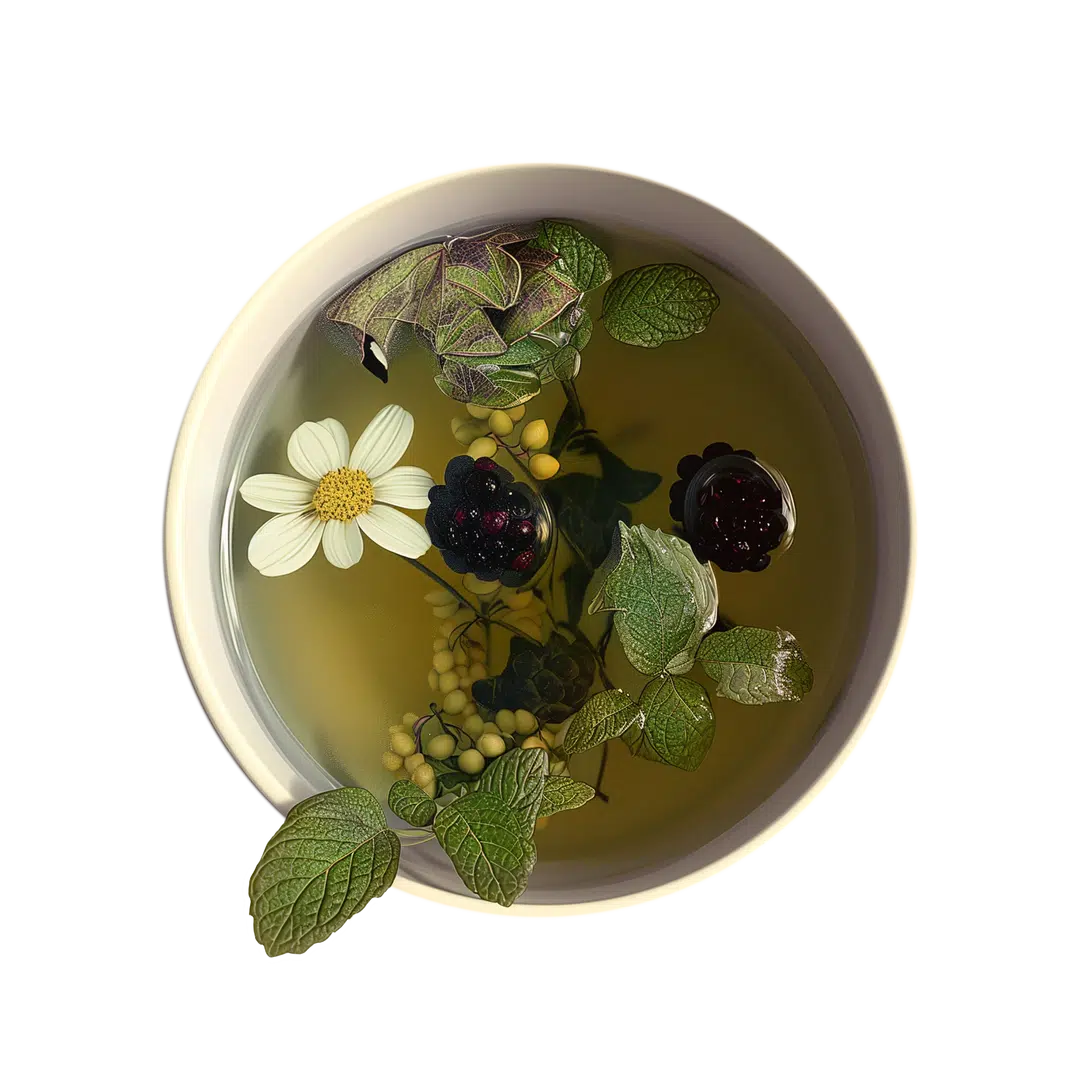 Spiced Blackberry Focus